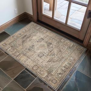 GENIMO Area Rug 2×3 Non Slip Entryway Rug, Machine Washable Low Pile Lightweight Doormat for Living Room, Runner, Bedroom, Kitchen and Passage, TAN