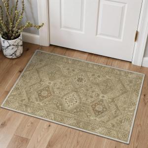 GENIMO Area Rug 2×3 Doormat, Machine Washable Low Pile Rugs, Small Retro Entryway Mat for Entrance, Hallway, Kitchen and Corridor, Tan Brown