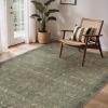 GENIMO 6×9 Area Rugs for Living Room, Machine Washable Non Slip Vintage Rugs, Low Pile Lightweight Chenille Print Rug for Bedroom, Dining Room, Home Office, Muted Green