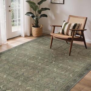 GENIMO 6×9 Area Rugs for Living Room, Machine Washable Non Slip Vintage Rugs, Low Pile Lightweight Chenille Print Rug for Bedroom, Dining Room, Home Office, Muted Green