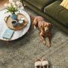 GENIMO 6×9 Area Rugs for Living Room, Machine Washable Non Slip Vintage Rugs, Low Pile Lightweight Chenille Print Rug for Bedroom, Dining Room, Home Office, Green Khaki