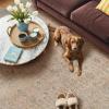 GENIMO 8×10 Area Rugs for Living Room, Machine Washable Non Slip Rugs, Low Pile Lightweight Vintage Print Rug for Bedroom, Dining Room, Home Office, Distressed Blue/Grey(Oatmeal Beige)