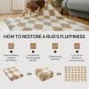 GENIMO 5×7 Vintage Floral Area Rug, Soft Microfiber Washable Rug with Non-Slip Backing, Beige Carpet for Living Room, Bedroom and Dining Room(Checkered-beige White)