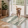 GENIMO Kitchen Rugs, Large Washable Non Slip Kitchen Mats for Floor | 48″x72″, Green vintage abstract rug, soft faux cashmere, low pile, easy-clean for laundry, entryway, sink, farmhouse(Sage Sand)