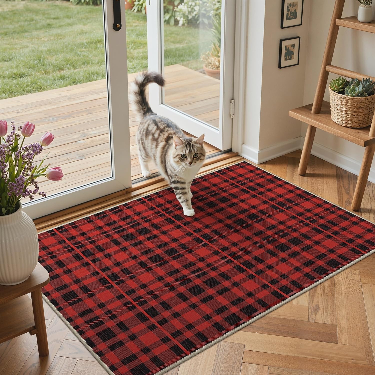 image:imageGENIMO 3x5 Outdoor Rug Washable for Porch and Entryway Sage GreenClassic Red
