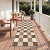 GENIMO 3×5 Outdoor Rug, Washable for Porch and Entryway, Sage Green(Brown)