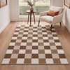 GENIMO 3×5 Outdoor Rug, Washable for Porch and Entryway, Sage Green(Brown)