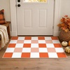 GENIMO 3×5 Outdoor Rug, Washable for Porch and Entryway, Sage Green(Burnt Pumpkin)