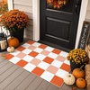GENIMO 3×5 Outdoor Rug, Washable for Porch and Entryway, Sage Green(Burnt Pumpkin)