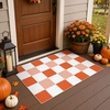 GENIMO 3×5 Outdoor Rug, Washable for Porch and Entryway, Sage Green(Burnt Pumpkin)