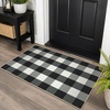 GENIMO 3×5 Outdoor Rug, Washable for Porch and Entryway, Sage Green(Jet Black)