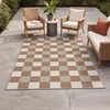 GENIMO 3×5 Outdoor Rug, Washable for Porch and Entryway, Sage Green(Light Brown)