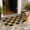 GENIMO 3×5 Outdoor Rug, Washable for Porch and Entryway, Sage Green(Light Khaki)