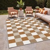 GENIMO 3×5 Outdoor Rug, Washable for Porch and Entryway, Sage Green(Pumpkin)