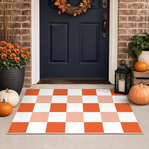 GENIMO 3×5 Outdoor Rug, Washable for Porch and Entryway, Sage Green(Burnt Pumpkin)