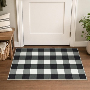 GENIMO 3×5 Outdoor Rug, Washable for Porch and Entryway, Sage Green(Jet Black)
